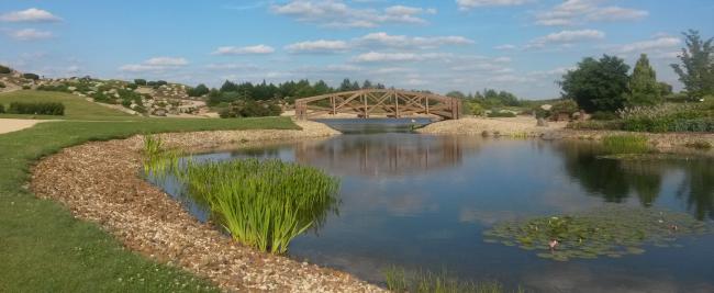 FUSSGÄNGERBRÜCKE IN KUNSTVOLLER GARTENWELT 2